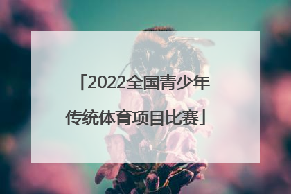 「2022全国青少年传统体育项目比赛」2022河南省田径传统体育项目