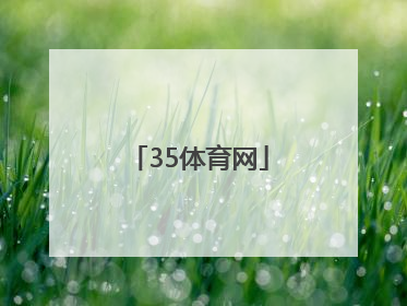 「35体育网」手机搜狐体育网